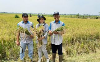 Keren, Petani Muara Enim Panen Calon Benih Hasil Penangkaran IPDMIP - JPNN.com