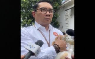 Ridwan Kamil Menggendong Kucing Warna Oranye, Katanya seperti Jakarta - JPNN.com