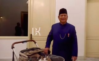 Presiden Prabowo Bawa Bobby Tinggal di Istana Negara, Lihat Tuh - JPNN.com