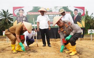 Polda Riau Tanam Jagung di Kampar, Irjen Iqbal: Polri Berkomitmen Dukung Ketahanan Pangan Nasional - JPNN.com