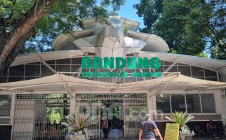 Yayasan Margasatwa Tak Terima Bandung Zoo Disita Kejati Jabar - JPNN.com