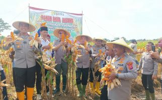 Polres Serang & Petani Gelar Panen Raya Jagung di Lahan Seluas 10 Hektare - JPNN.com