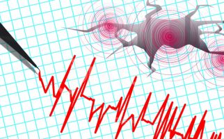 BMKG Imbau Warga Jawa Tengah Tetap Tenang Seusai Diguncang Gempa 2 Kali - JPNN.com