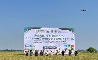 Panen Padi 600 Hektare di Karawang, Pramono Sebut untuk Kebutuhan Warga Jakarta - JPNN.com
