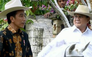  Dari Aceh sampai Papua, Tandingan Jokowi Prabowo Belum ada - JPNN.com