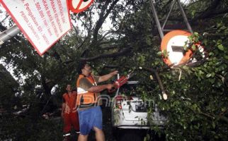 Pohon Tumbang Dekat Kampus UI, Dua Orang Tewas - JPNN.com