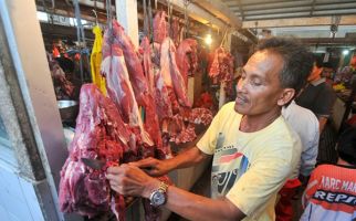 Pemerintah Jamin Daging Kerbau Impor tak Menggeser Sapi Lokal - JPNN.com