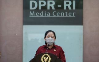 Diplomasi yang Dilakukan Puan Maharani dan Jokowi Sama Penting - JPNN.com