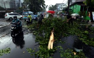 Cuaca Riau 6 Mei 2023, BMKG: Waspada Hujan Disertai Petir dan Angin Kencang - JPNN.com