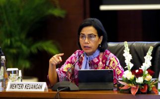 Sri Mulyani Sampaikan Pantauan Pertumbuhan Ekonomi di Seluruh Daerah, Hasilnya - JPNN.com