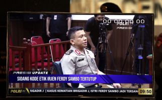 Putusan Etik kepada Irjen Ferdy Sambo Masuk Akal - JPNN.com