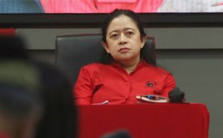 Puan Komentari Pernyataan Gibran Ingin Menggetarkan Jawa Tengah - JPNN.com