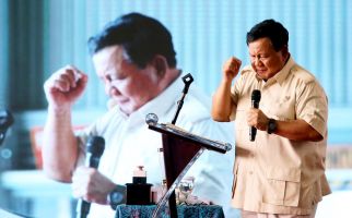 Politikus Gerindra Ini Ungkap Keinginan Prabowo, Ini terkait Megawati, Hmmm - JPNN.com