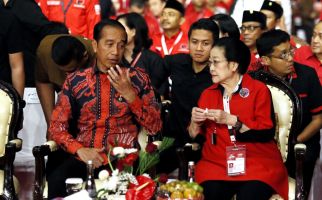 Gibran jadi Cawapres Prabowo, Oh, Hubungan Jokowi dan Megawati - JPNN.com