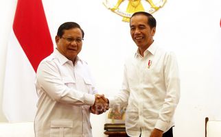 Jokowi Memprediksi Pilpres 2024 Jatah Prabowo, Willy NasDem Bereaksi, Ada Kata Aneh - JPNN.com