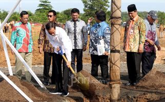 Disambar Petir, Pohon Jokowi Meranggas - JPNN.com