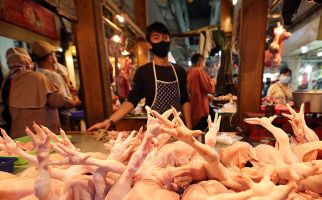 Singapura Setujui Indonesia Pasok Ayam dan Produknya, Alhamdulillah - JPNN.com