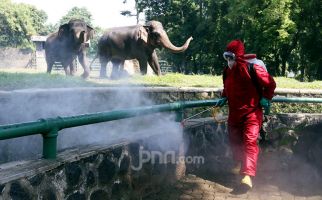 Kebun Binatang Ragunan Akan Kembali Dibuka Besok, Pengelola: 700 Petugas Disiagakan - JPNN.com