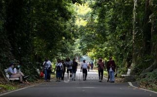 MNR Terus Berinovasi, Jumlah Pengunjung di 4 Kebun Raya Meningkat - JPNN.com
