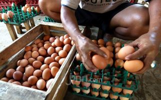 Harga Telur Ayam di Pasar Ini Tembus Rp 60 Ribu - JPNN.com