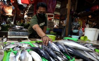 Jelang Ramadan, Komisi IV Minta KKP Amankan Stok Ikan - JPNN.com