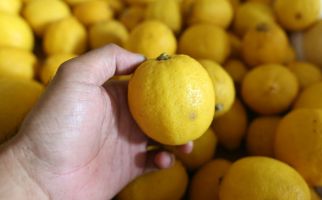 4 Manfaat Lemon yang Tidak Terduga, Wanita Pasti Suka - JPNN.com