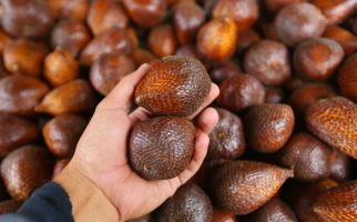 Berlebihan Mengonsumsi Buah Salak, 4 Penyakit Ini Siap Menyerang Anda - JPNN.com