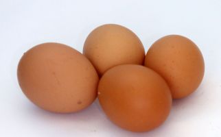 5 Khasiat Telur Rebus yang Bikin Wanita Ketagihan Mengonsumsinya - JPNN.com