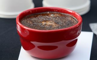 CNI Ginseng Coffee Siap Menemani Momen Mudik dan Liburan Akhir Tahun - JPNN.com