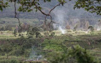 Dunia Hari Ini: Pilot Australia yang Diculik di Papua Nugini Sudah Dibebaskan - JPNN.com