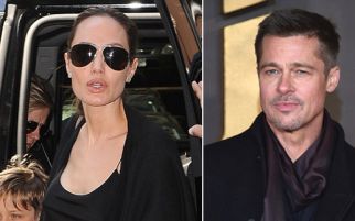 8 Tahun Bersitegang, Brad Pitt dan Angelina Jolie Akhirnya Resmi Cerai - JPNN.com