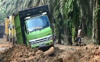 Halo Pak Gubernur yang Terhormat, Ini Jalan atau Sawah? - JPNN.com