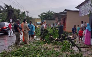 Pohon Tumbang Menimpa Pajero di Depok, 2 Orang Bernasib Nahas - JPNN.com