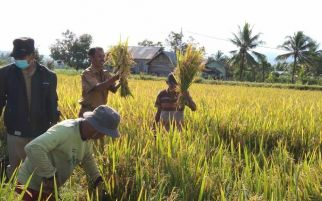 Kementan Dorong Transformasi Sistem Pertanian, Panen di Sulteng Meningkat - JPNN.com