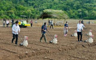 Pak Jokowi dan Mentan SYL Tanam Jagung di NTT, Pakai Teknologi Modern, Lihat tuh - JPNN.com