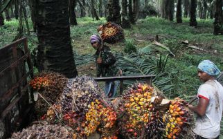 Kembangkan Produk UKMK Sawit Petani di Sumbar, Aspekpir & BPDPKS Berkolaborasi - JPNN.com