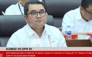 RDP dengan Komisi VII DPR RI, MIND ID Ungkap Strategi Transisi Energi - JPNN.com