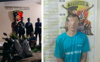Curi Puluhan Batang Bibit Sawit, Pria di OI Dibekuk Polisi - JPNN.com
