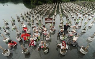 Peringati Hari Bumi, Prudential Indonesia Tanam 5.000 Mangrove - JPNN.com