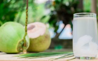 Waspada, Ini 5 Bahaya Minum Air Kelapa Saat Sedang Haid - JPNN.com