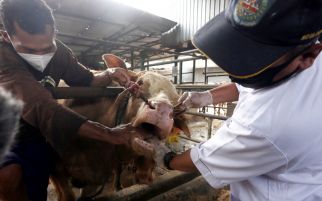 BAZNAS dan LinkAja Syariah Buka Layanan Kurban, Begini Caranya - JPNN.com