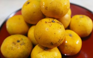 4 Buah Terbaik untuk Penderita Diabetes - JPNN.com