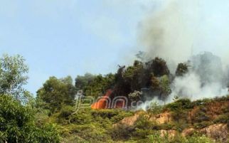 Kebakaran Lahan dan Hutan, BIN Dilibatkan.. Untuk Apa? - JPNN.com