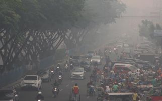 Pemadaman Karhutla Sulit, BNPB Minta Tambahan Personel TNI - JPNN.com