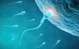 Menelan Sperma Bisa Hamil? Nih Penjelasan Ilmiahnya - JPNN.com