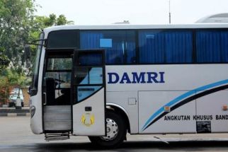 Ke IKN Nusantara Sekarang Bisa Naik Bus Damri, Berikut Jadwal dan Tarifnya - JPNN.com Kaltim
