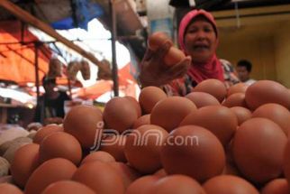 Harga Telur di Bogor Capai Rp32 ribu Per Kilogram, Perumda PPJ: Ini Sejarah - JPNN.com Jabar