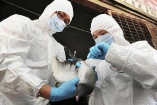 Hamdalah, Kota Bandung Nol Kasus Virus Flu Burung - JPNN.com Jabar