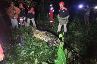 Sungai Kutai Timur Jadi Habitat Buaya, Warga Geger - JPNN.com Bali