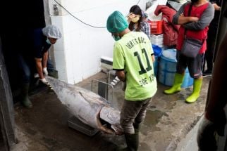 Pemkot Payakumbuh Menargetkan Konsumsi Ikan Meningkat pada 2023 - JPNN.com Sumbar